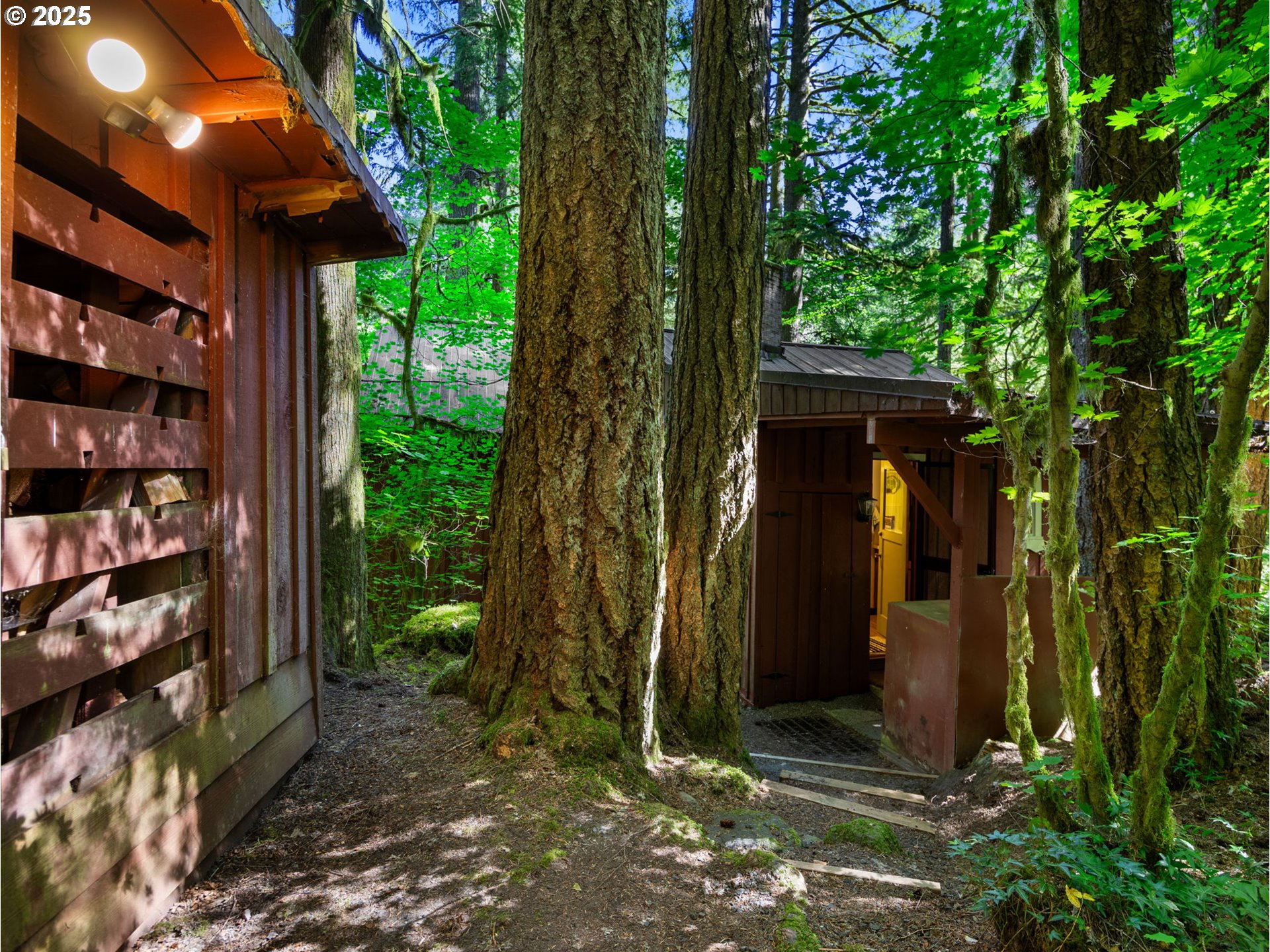 26811 East Road 15 Rhododendron, OR 97049 - Photo 37 of 47 a view of a house with a tree in front of it
