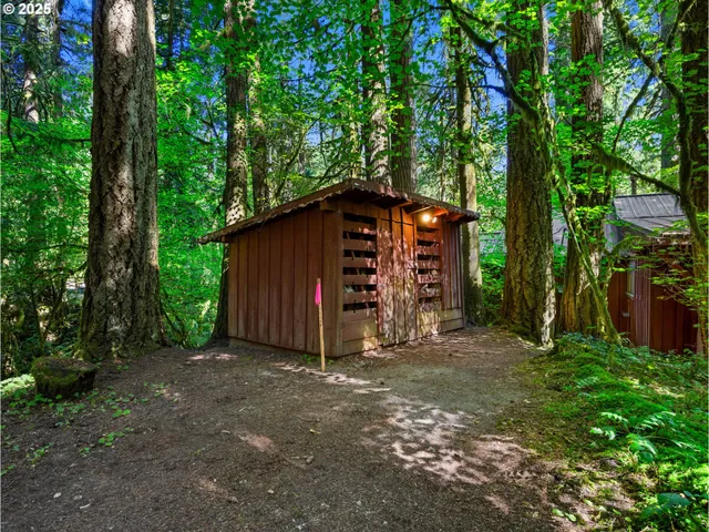 a view of a backyard with large trees and a small barn