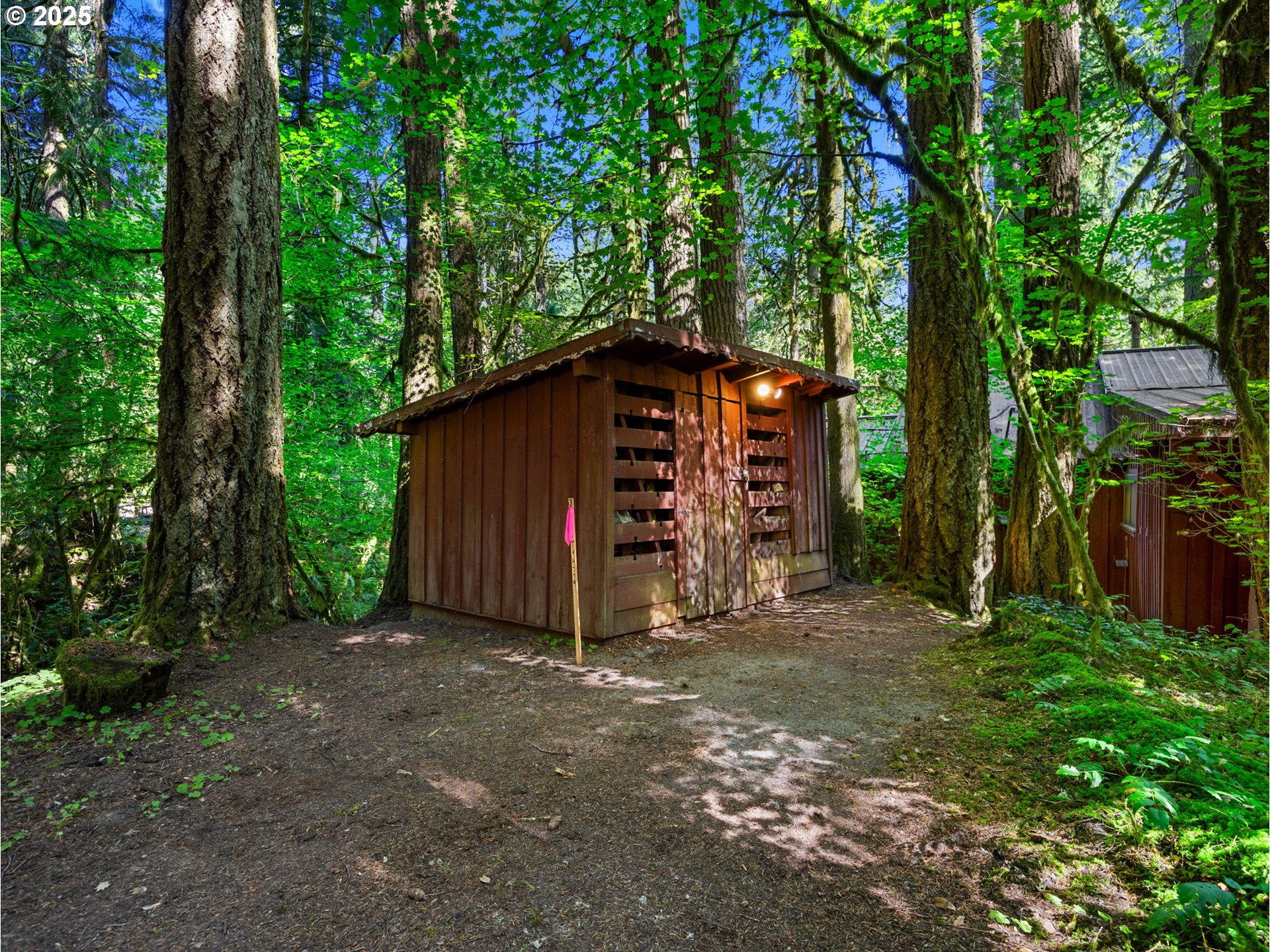 26811 East Road 15 Rhododendron, OR 97049 - Photo 40 of 47 a view of a backyard with large trees and a small barn