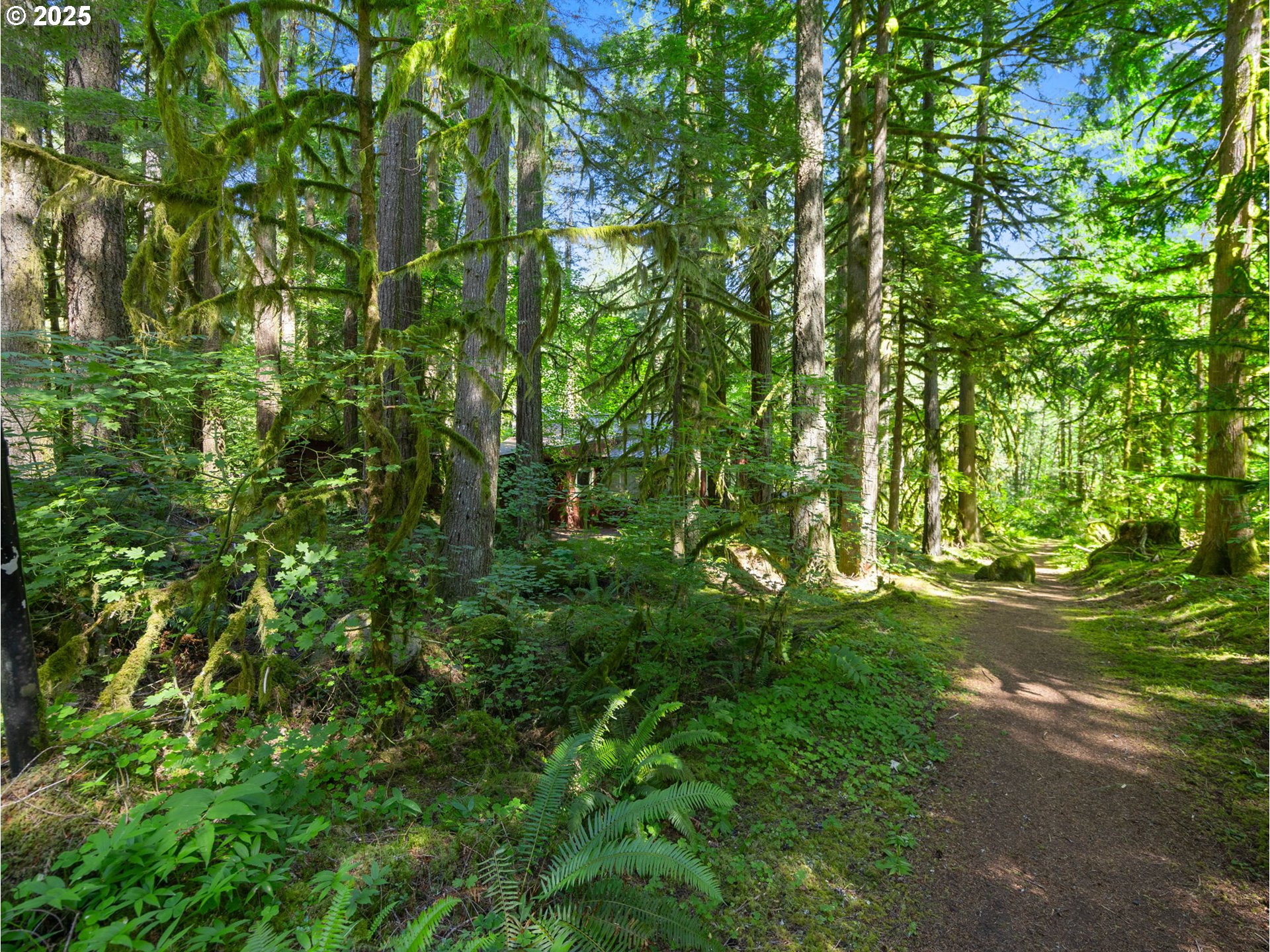 26811 East Road 15 Rhododendron, OR 97049 - Photo 42 of 47 a view of a yard