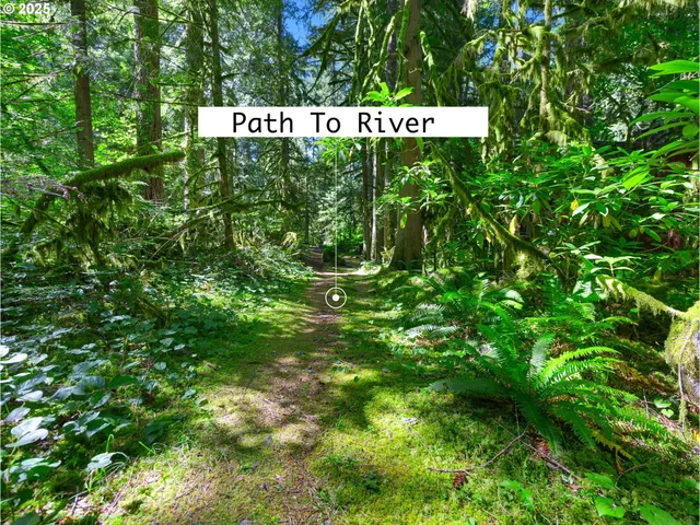 a sign broad in the middle of a forest