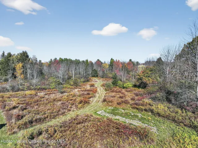 $1,699,000 | 13388 Duanesburg Road, Duanesburg, NY 12053