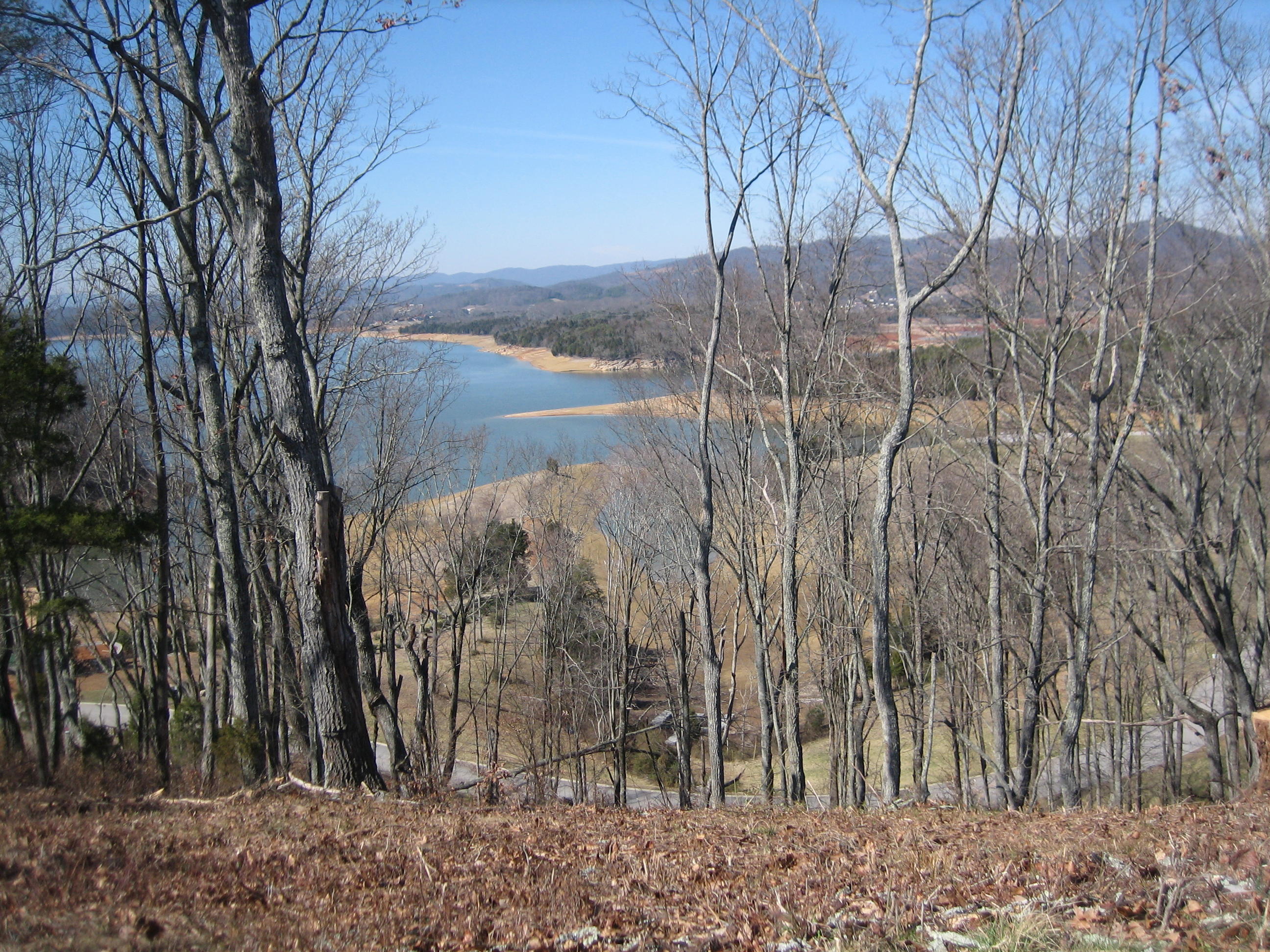 2021 Turner Landing Road Russellville, TN 37860 - Photo 4 of 14 TL 82 views