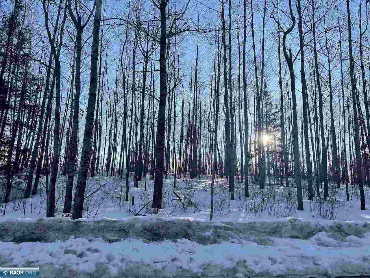 Xxx Wynne Ridge Road Aurora, MN 55705 - Photo 14 of 14