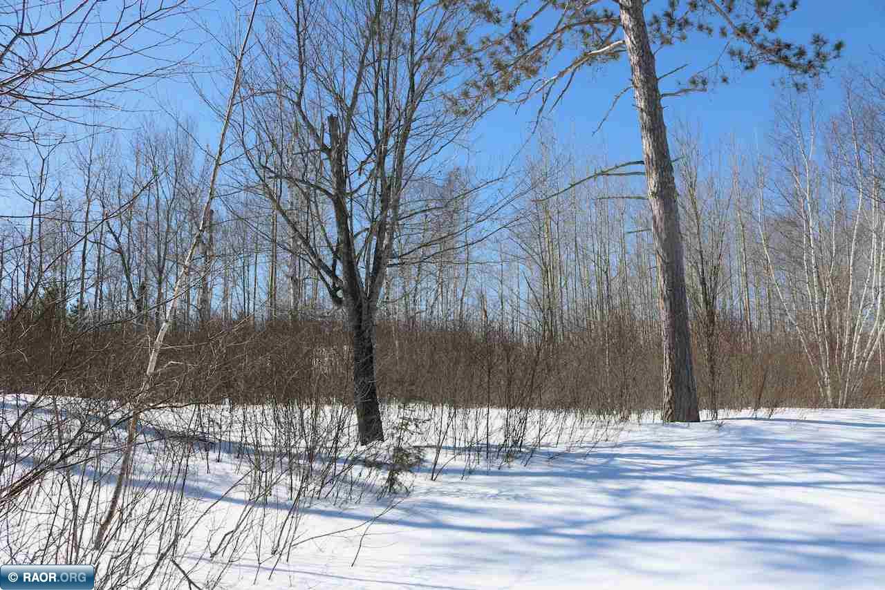 Xxx Wynne Ridge Road Aurora, MN 55705 - Photo 10 of 14