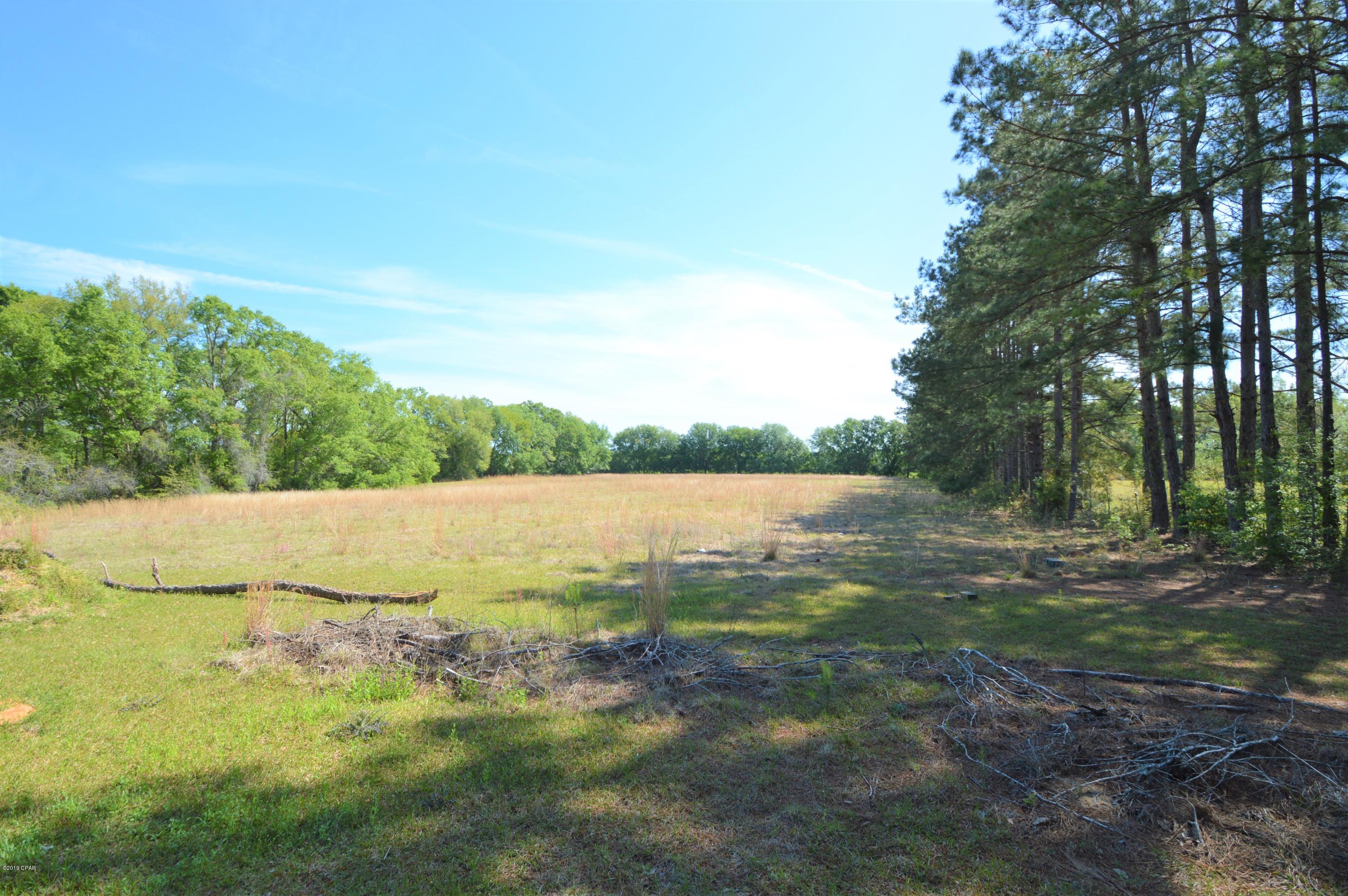 1595 Bethlehem Church Road Bonifay, FL 32425 - Photo 4 of 34 Gallery Image 4
