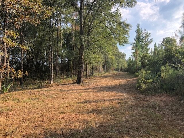 65-ac Straughn School Road Andalusia, AL 36421 - Photo 23 of 47 Gallery Image 23