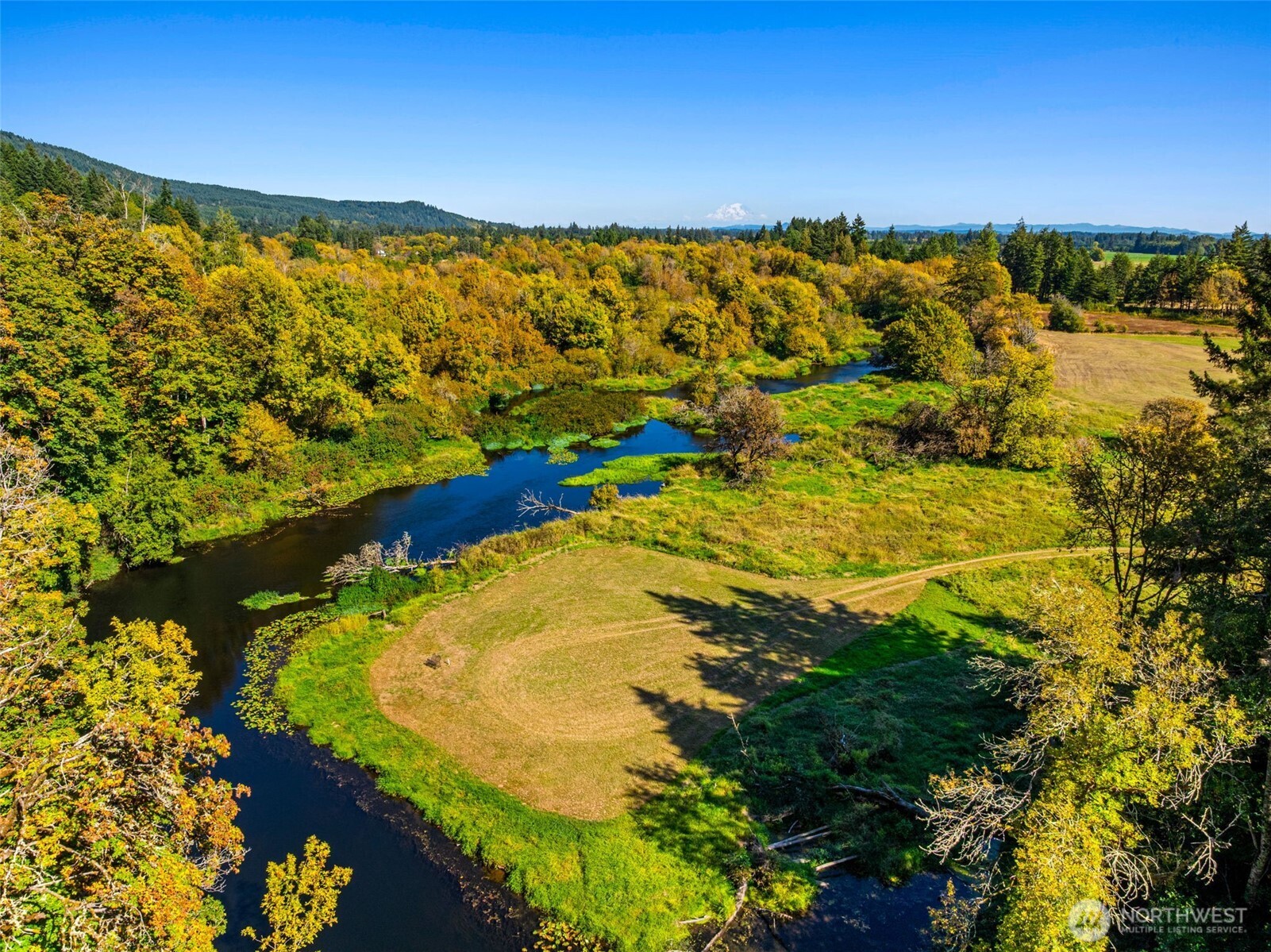 55 Sickman-Ford Road Oakville, WA 98568 - Photo 1 of 17 Gallery Image 1