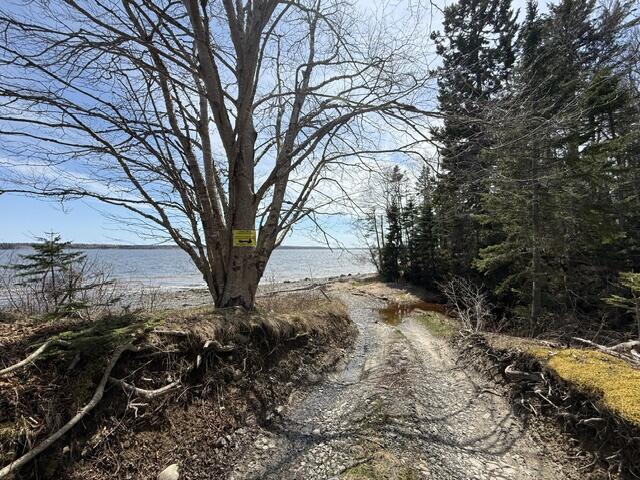 Lot 3 Holmes Bay Farms Road Whiting, ME 04691 - Photo 8 of 14