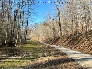 2518 Peniel Road Gay, WV 25244 - Photo 1 of 19 Gallery Image 1