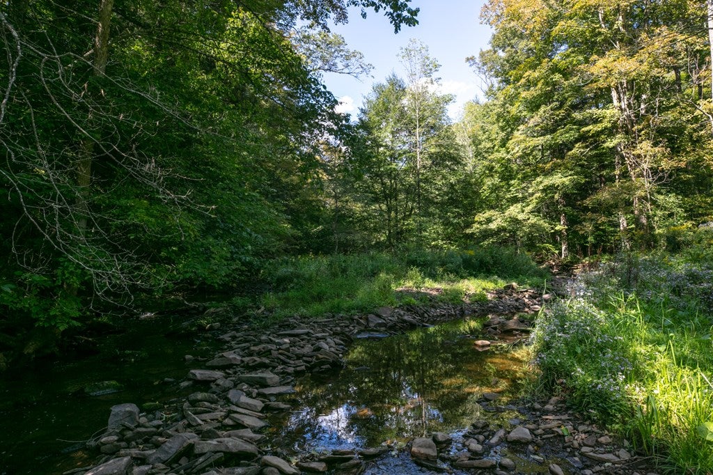 91 South Elk Run Road Wellsboro, PA 16901 - Photo 71 of 75 Gallery Image 71