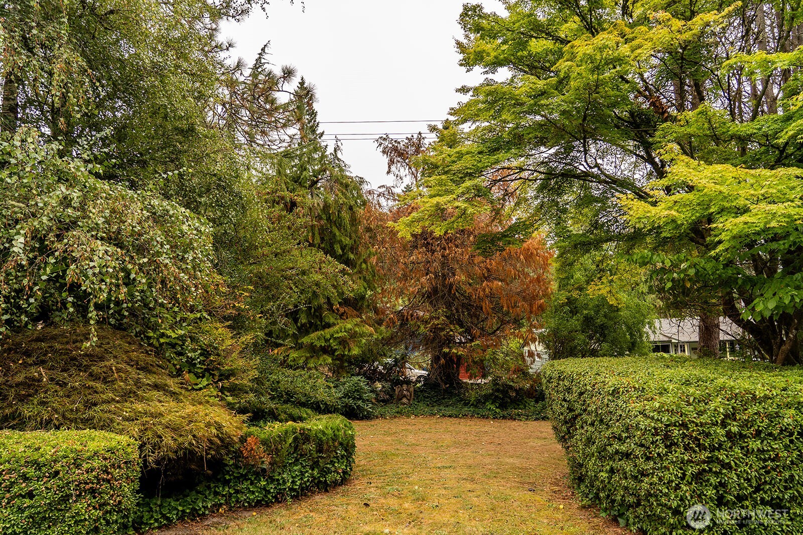 3231 Virginia Way Longview, WA 98632 - Photo 4 of 40