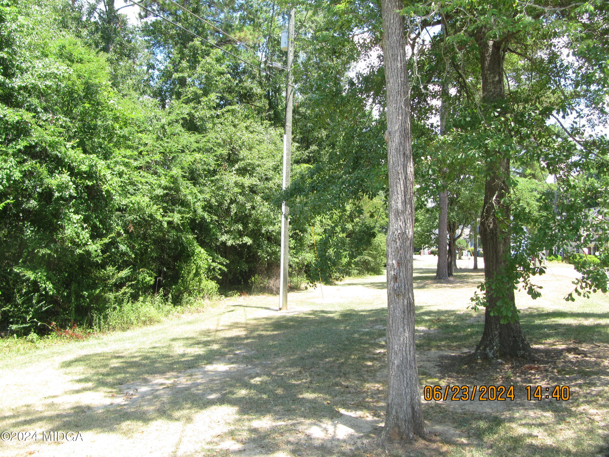 3341 Stinsonville Road Macon, GA 31204 - Photo 4 of 6 a view of a yard with plants and large trees