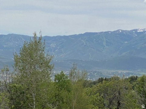 2604 South Forest Meadow Road, Unit C82 Coalville, UT 84017 - Photo 3 of 27 Mountain view