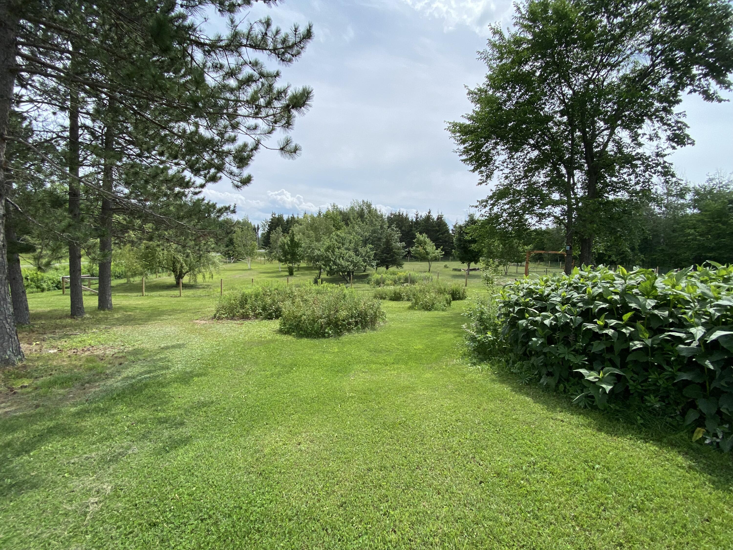 318 Turner Road Mapleton, ME 04757 - Photo 58 of 61 318 Turner Rd Castle Hill July 2021 (9)