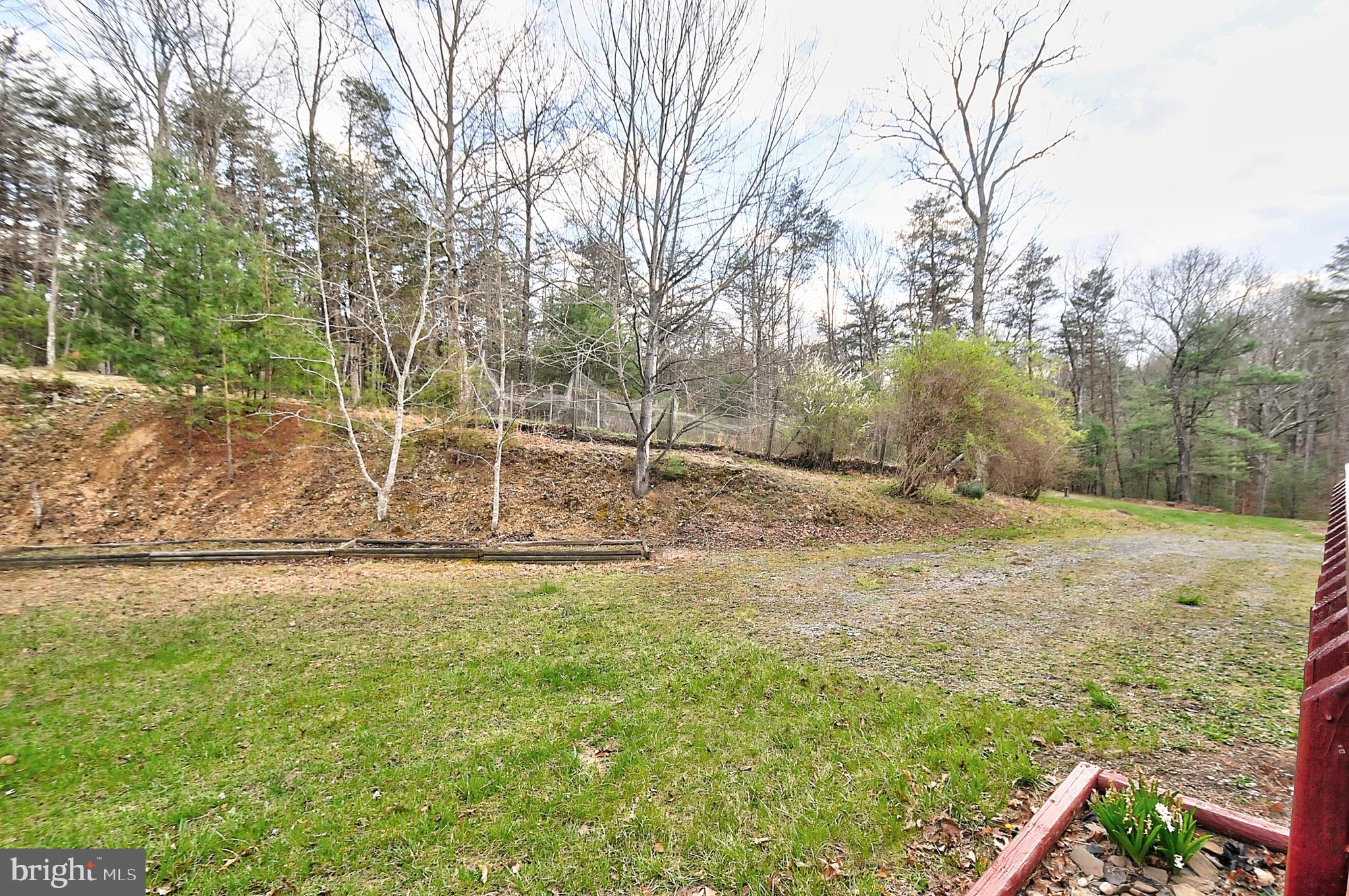 235 Peppermint Spring Lane Winchester, VA 22603 - Photo 20 of 90 a backyard of a house with lots of green space