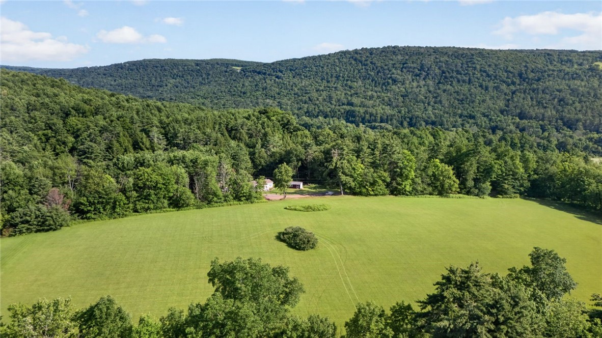 L1 Grange Hall Road Oneonta, NY 13820 - Photo 43 of 50