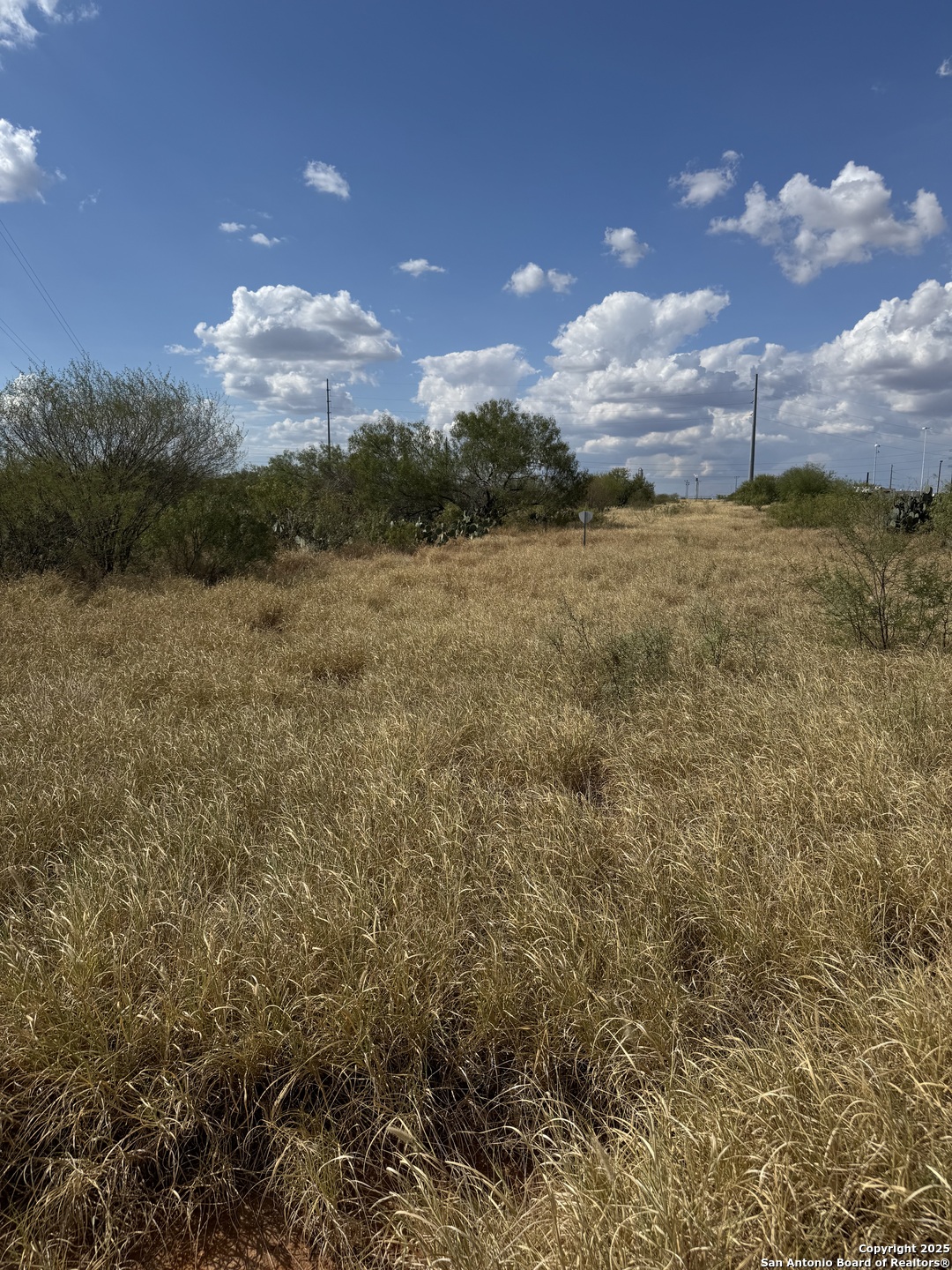 2438 Interstate 35 Cotulla, TX 78014 - Photo 2 of 9 a view of a lake in middle of forest