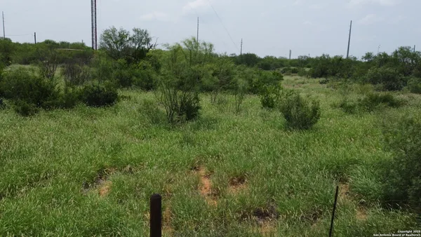 a view of a lush green forest with lots of trees