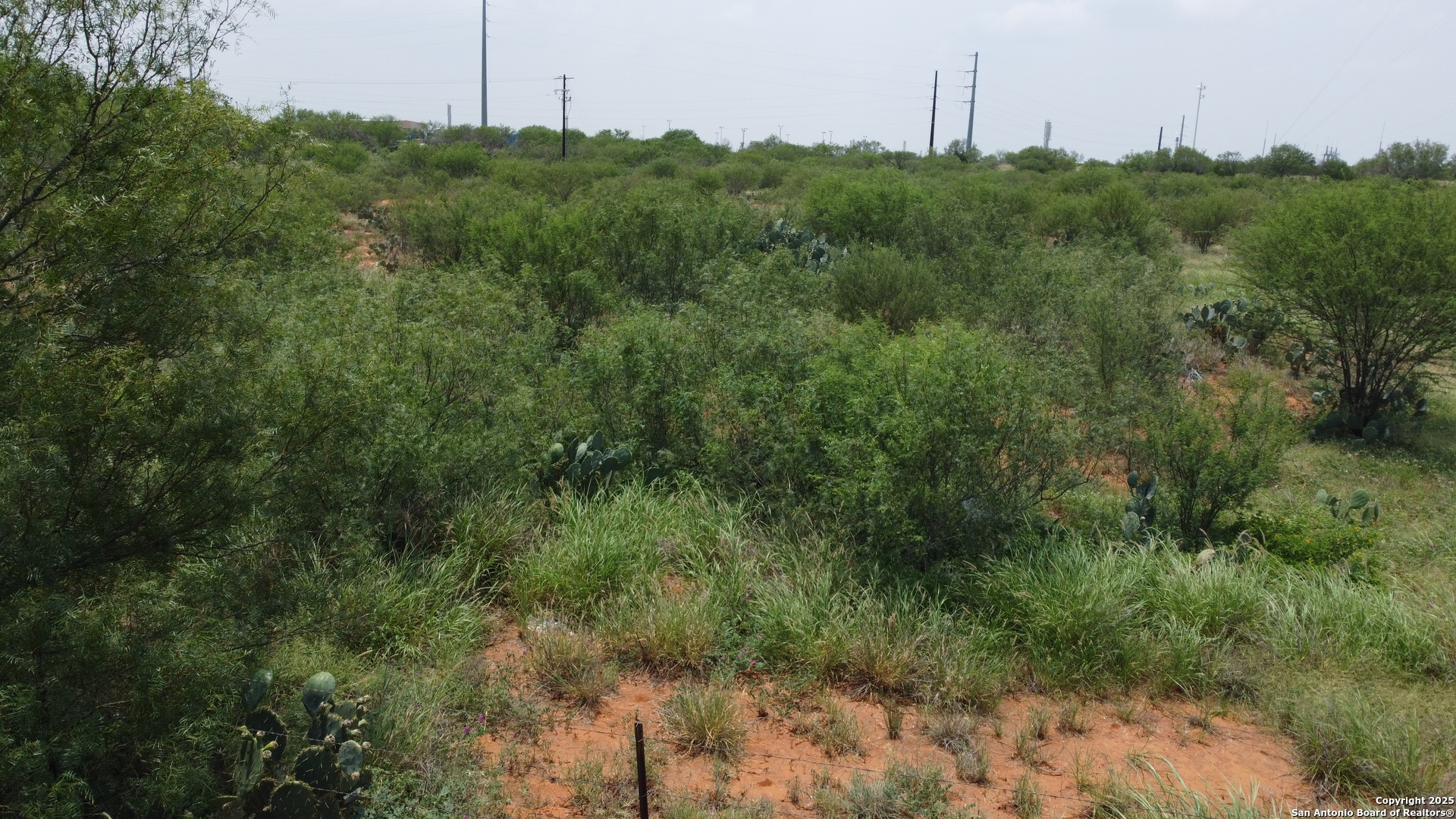 2438 Interstate 35 Cotulla, TX 78014 - Photo 6 of 9 a view of a field of grass and trees