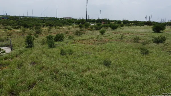 a view of a green field with lots of bushes