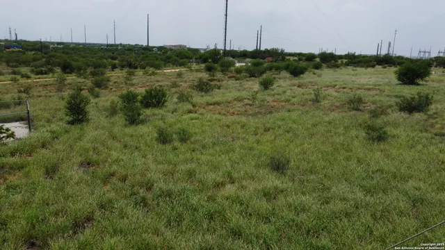 a view of a green field with lots of bushes
