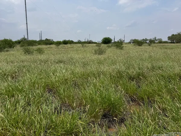 a view of a green field with lots of bushes