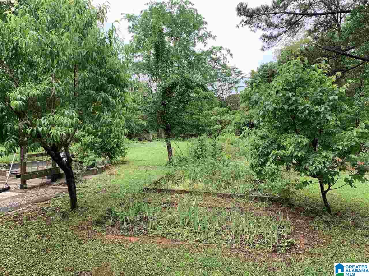 2152 Chapel Hill Road Birmingham, AL 35216 - Photo 31 of 36