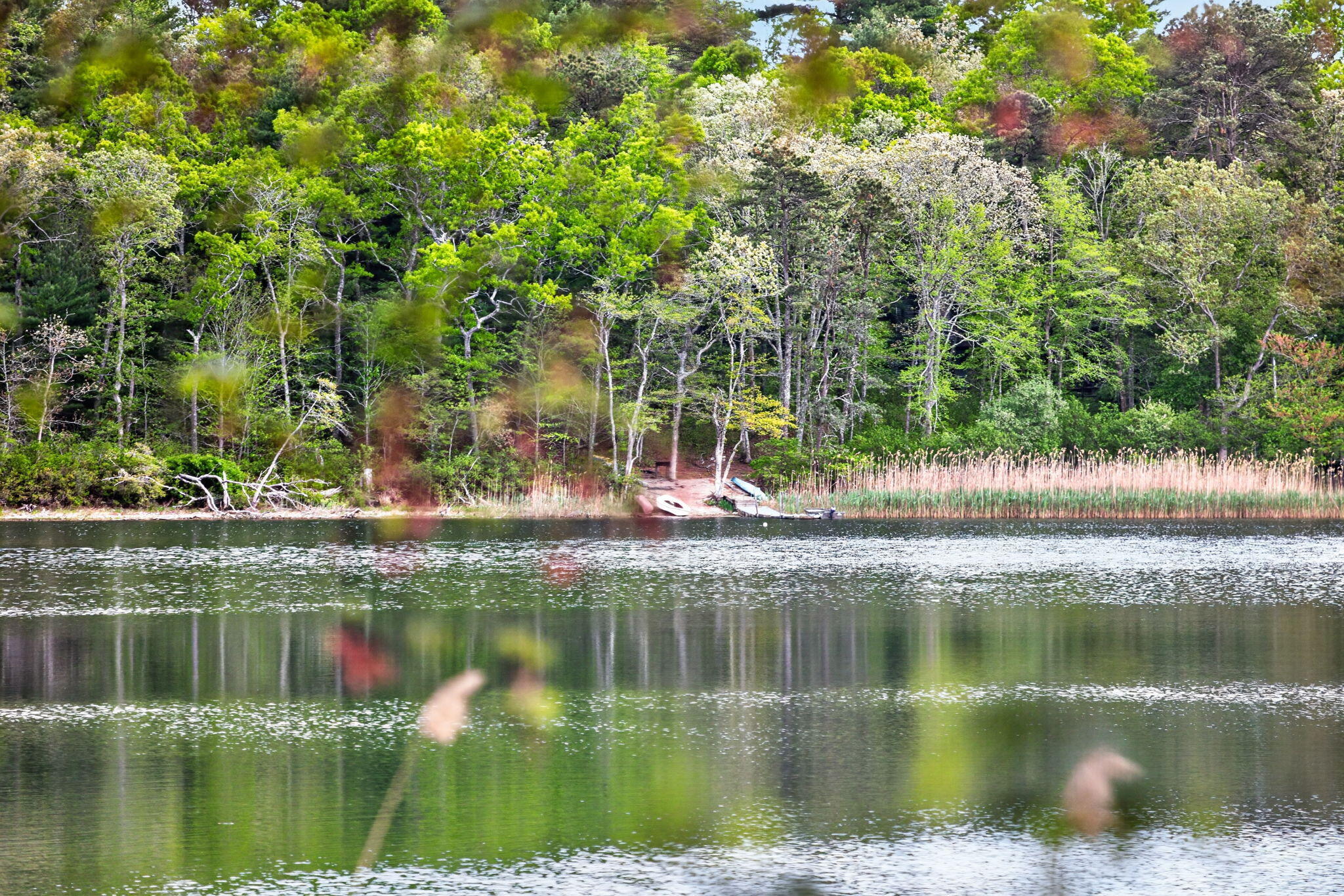 73 Pimlico Pond Road Mashpee, MA 02649 - Photo 17 of 29 38-8P0A7119