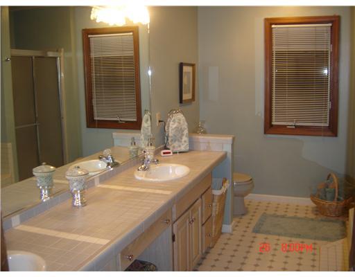 158 Countryview Drive McKees Rocks, PA 15136 - Photo 8 of 12 Master Bath/Spa.