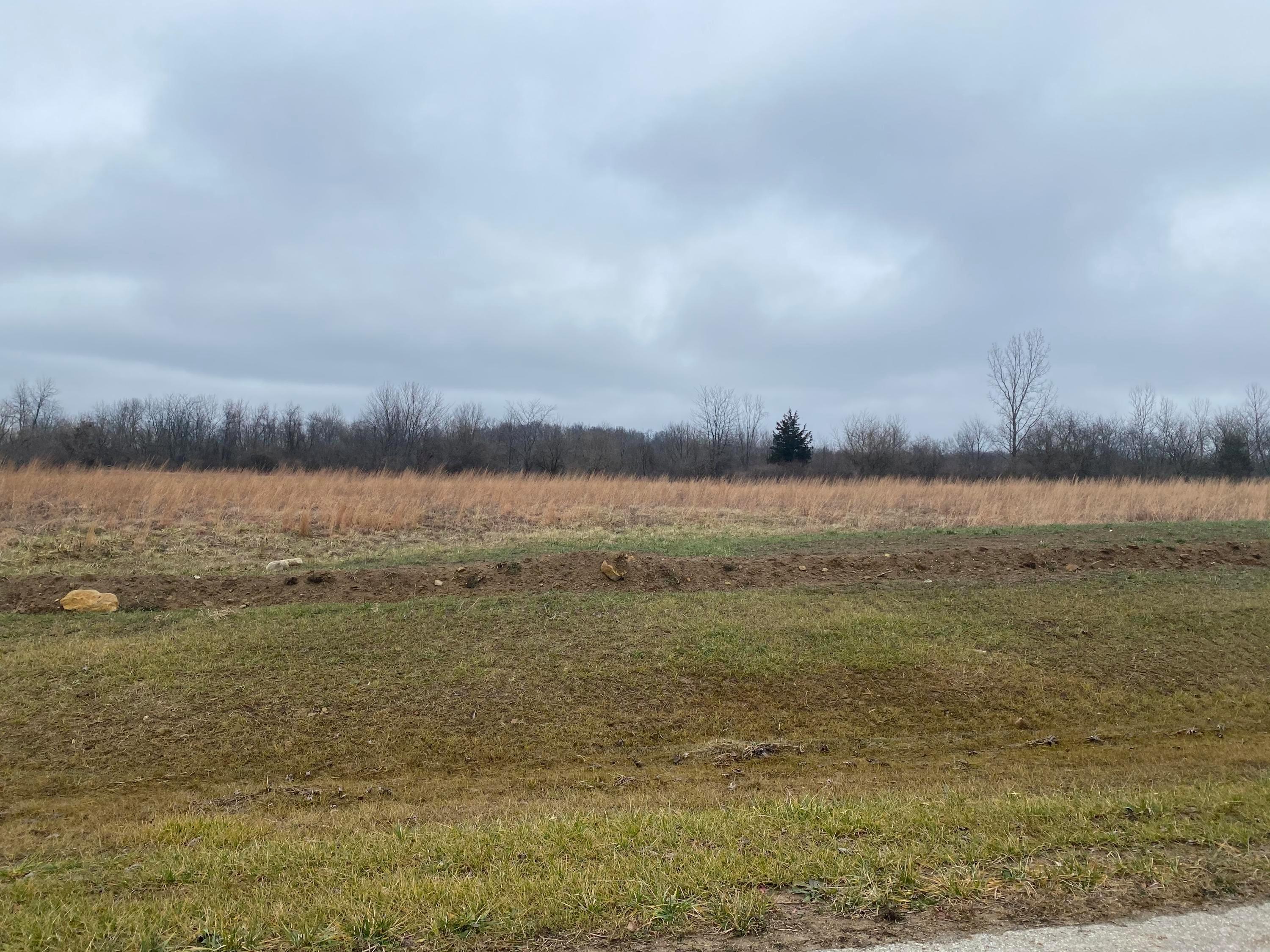 0 South Perry Road Laurelville, OH 43135 - Photo 4 of 4
