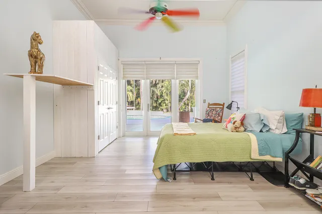 a view of a park with plants and trees