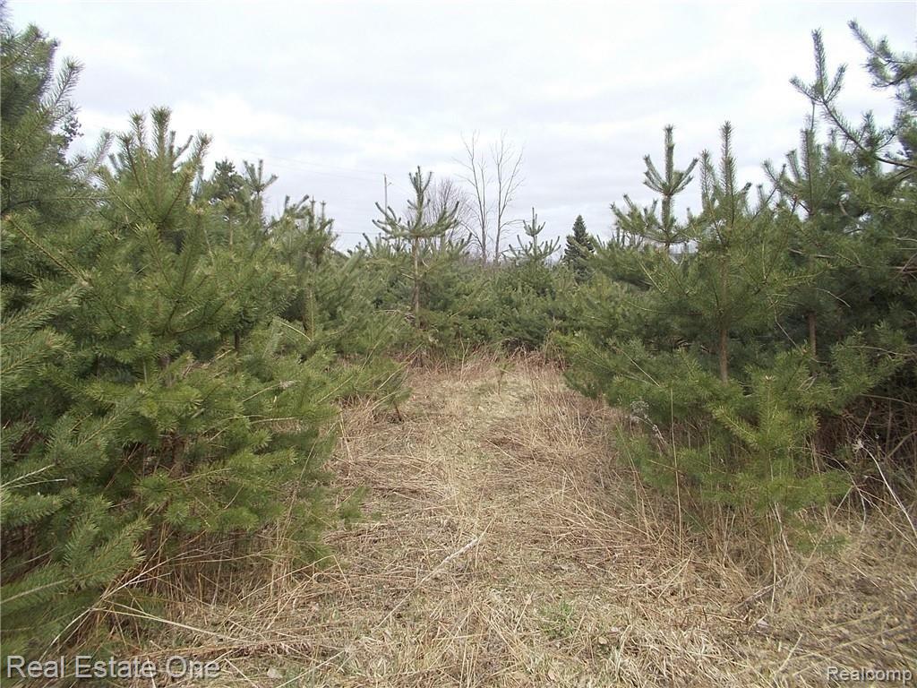 0 North Lake George Road Oakland, MI 48363 - Photo 26 of 55