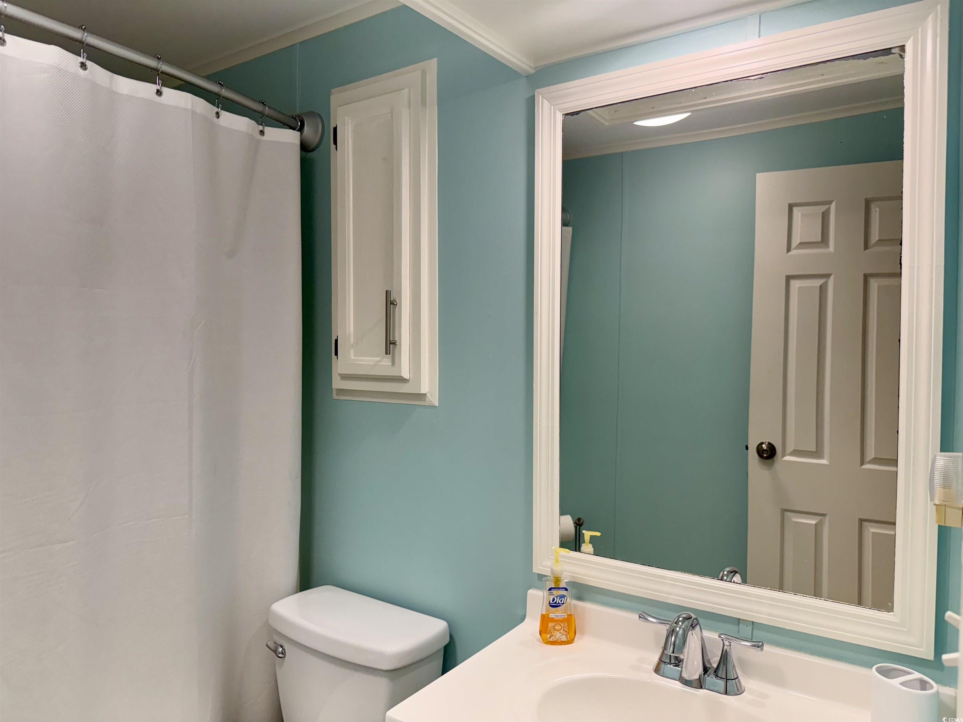 416 Oceanside Drive Surfside Beach, SC 29575 - Photo 22 of 37 Bathroom featuring ornamental molding, vanity, and a shower with curtain