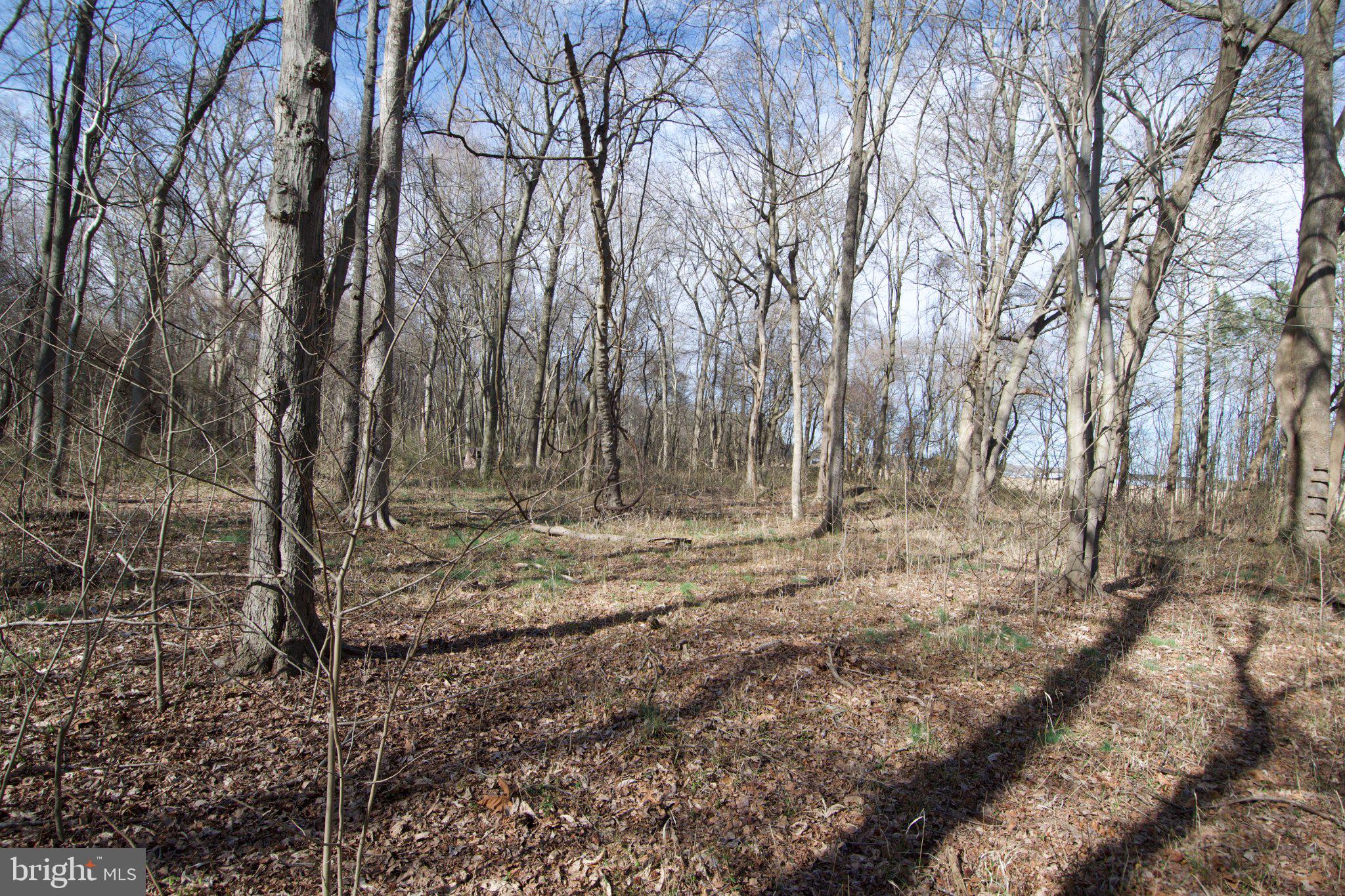 7 Libertytown Road Berlin, MD 21811 - Photo 75 of 77 Gallery Image 75