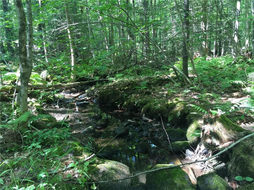0 Spiller Hill Road Raymond, ME 04071 - Photo 4 of 20 Photo
