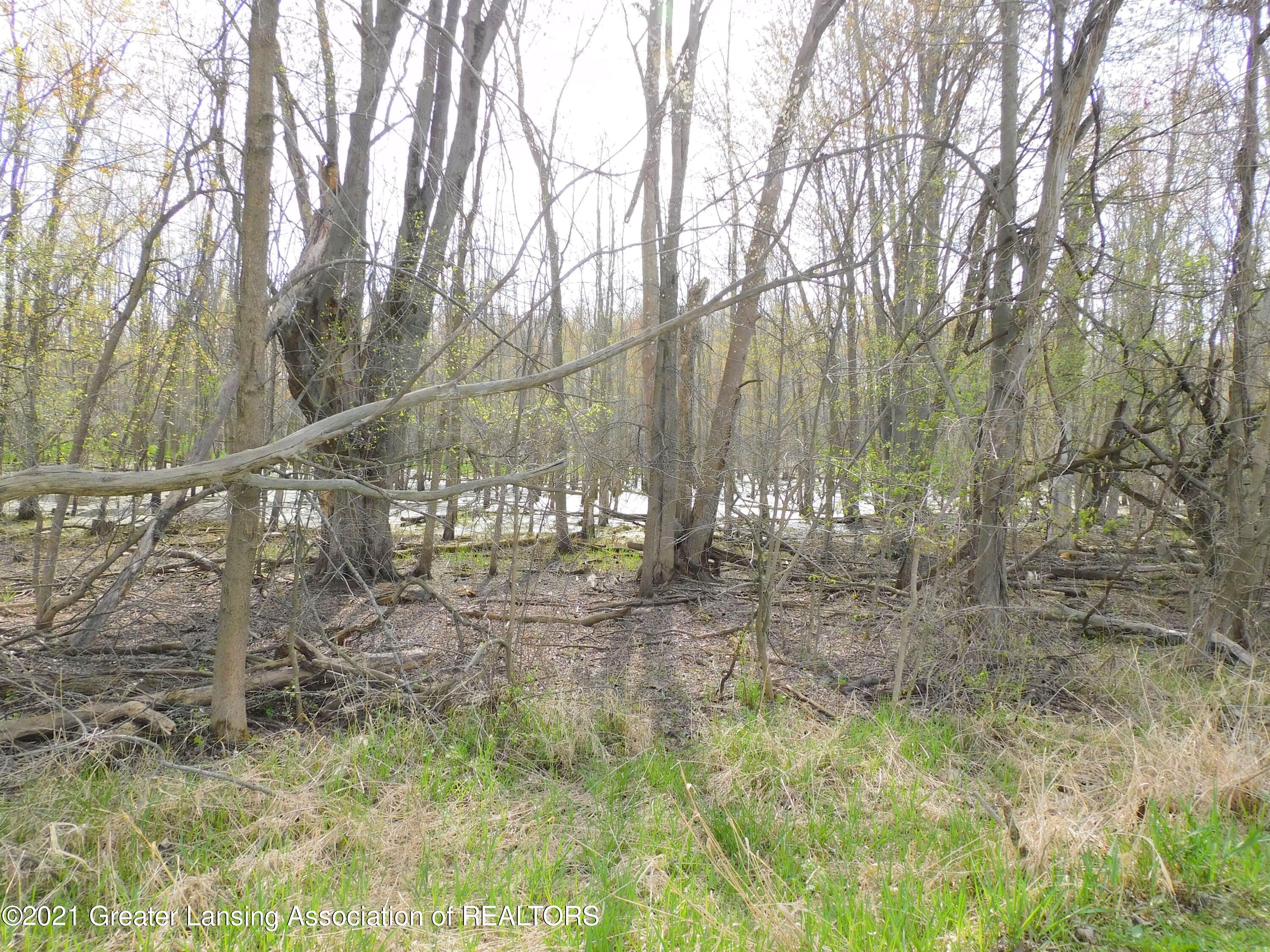 0 East Round Lake Road Laingsburg, MI 48848 - Photo 10 of 15 Low lands out front