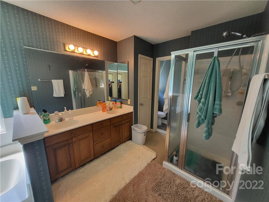 9216 Torrence Crossing Drive Huntersville, NC 28078 - Photo 30 of 34 a bathroom with a double vanity sink a toilet and a mirror