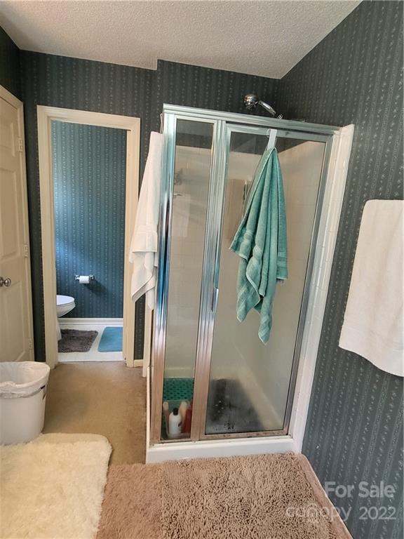 9216 Torrence Crossing Drive Huntersville, NC 28078 - Photo 31 of 34 a bathroom with a shower and a mirror