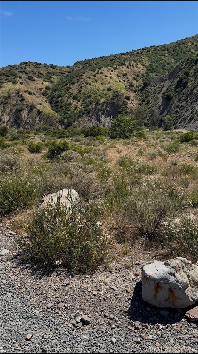29501 Silverado Canyon Road Silverado, CA 92676 - Photo 42 of 44 Great hiking trails all around the canyon