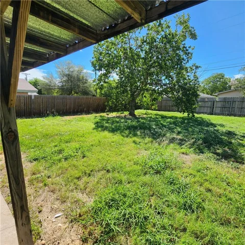 a view of a backyard with a tree