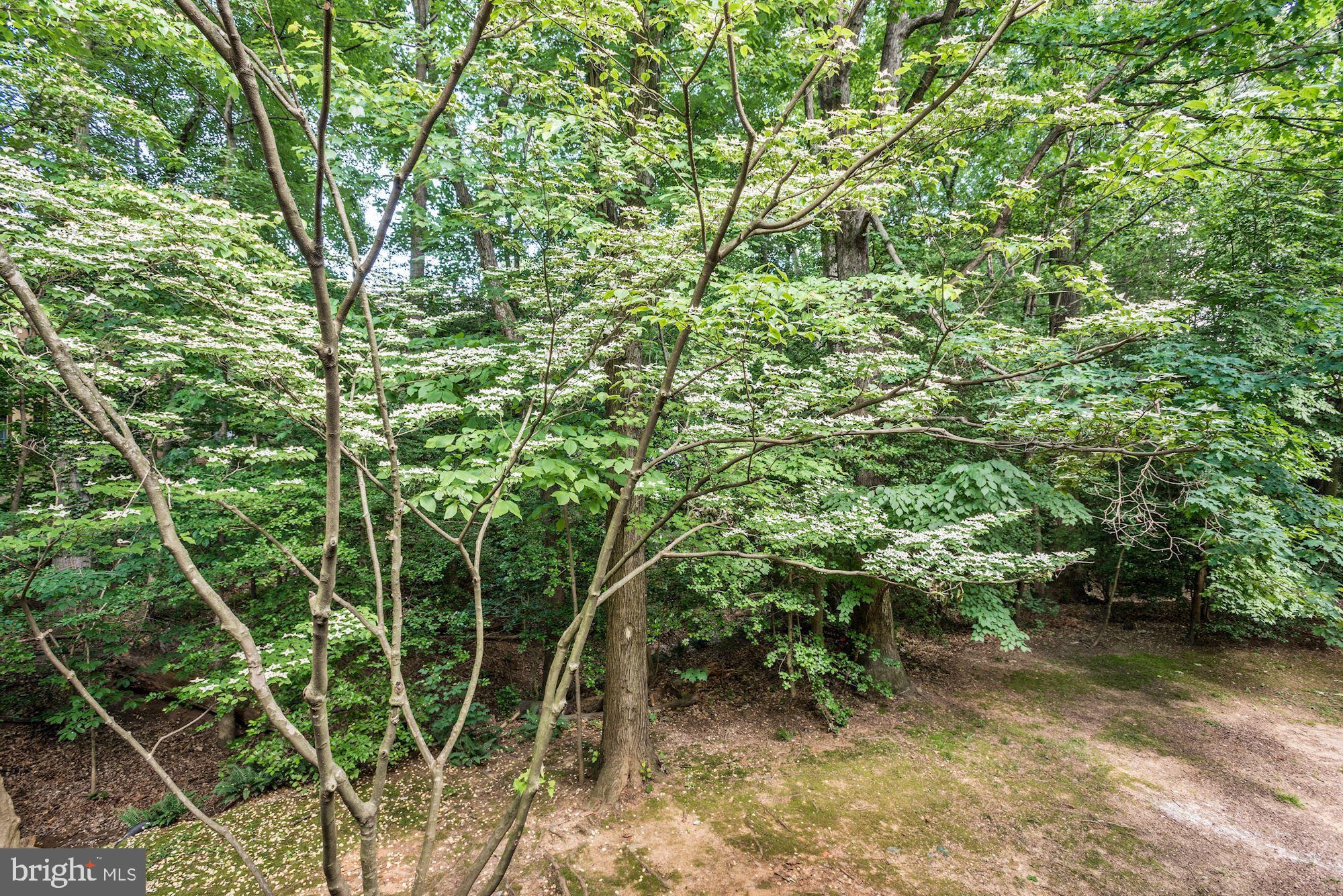 2229 Lovedale Lane, Unit 304B Reston, VA 20191 - Photo 24 of 24 Gallery Image 24