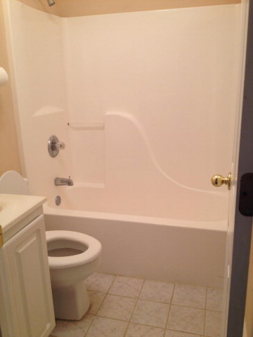101 Ridgeview Drive Buckhead, GA 30625 - Photo 15 of 30 a bathroom with a toilet and a bathtub
