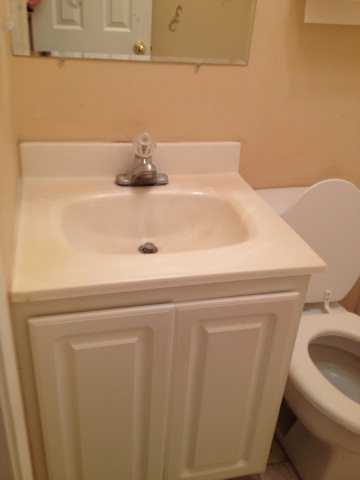 101 Ridgeview Drive Buckhead, GA 30625 - Photo 16 of 30 a bathroom with a sink and a toilet