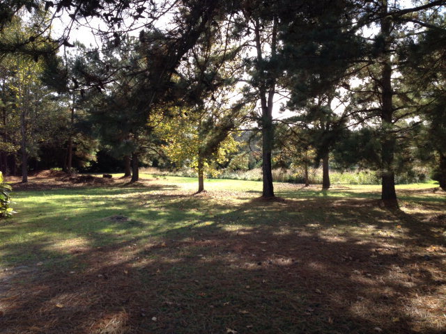 101 Ridgeview Drive Buckhead, GA 30625 - Photo 25 of 30 a view of outdoor space with trees