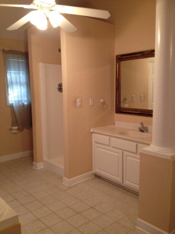 101 Ridgeview Drive Buckhead, GA 30625 - Photo 10 of 30 a bathroom with a sink a mirror and a shower