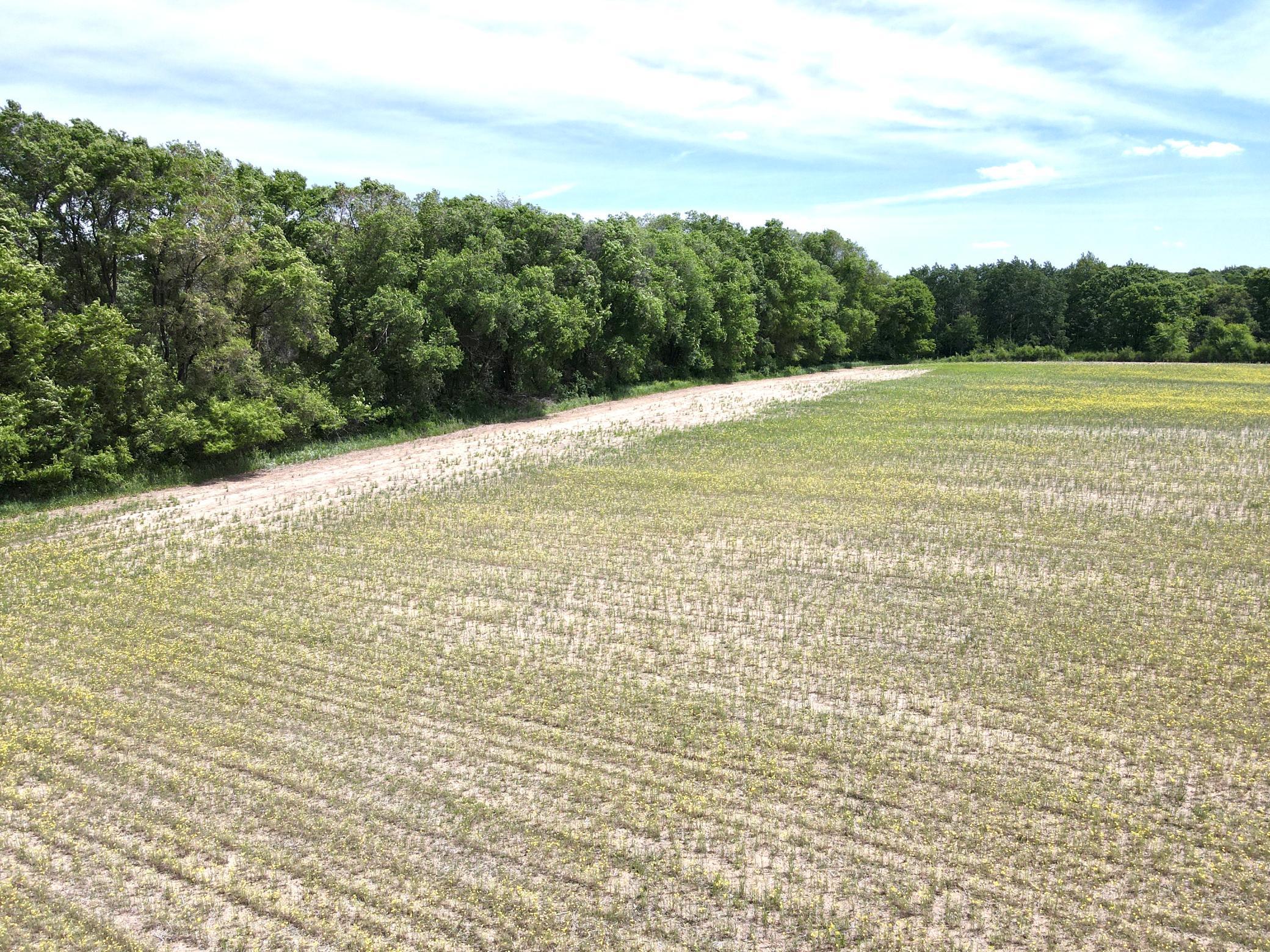 Tbd-10-ac 87th Street Southeast Becker, MN 55308 - Photo 7 of 23