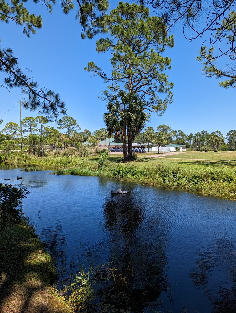 726 Country Club Road Port St. Joe, FL 32456 - Photo 7 of 44 Gallery Image 7