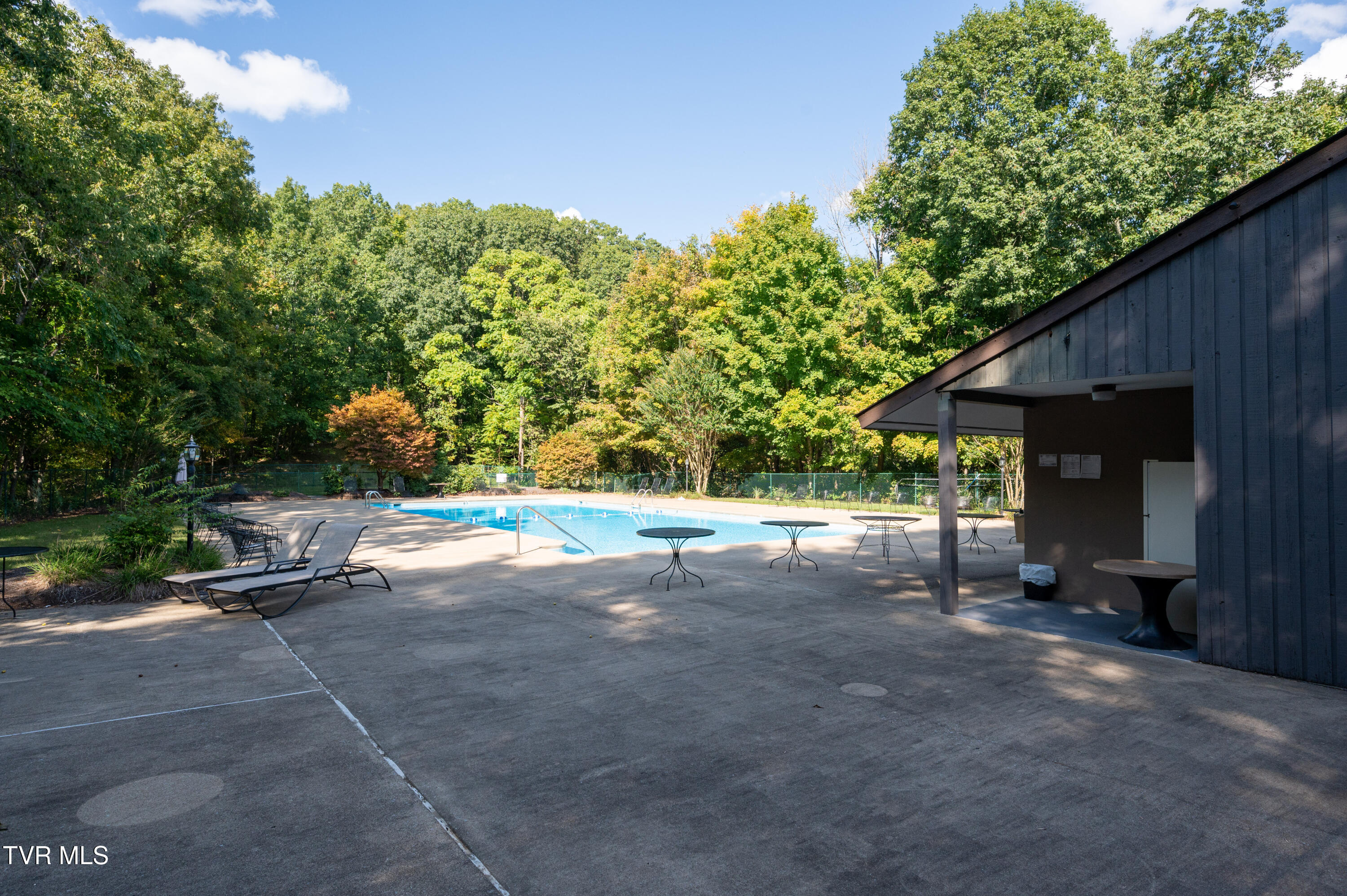 331 Hickory Bluff, Unit 331 Johnson City, TN 37601 - Photo 48 of 49 Woodstone Pool 3