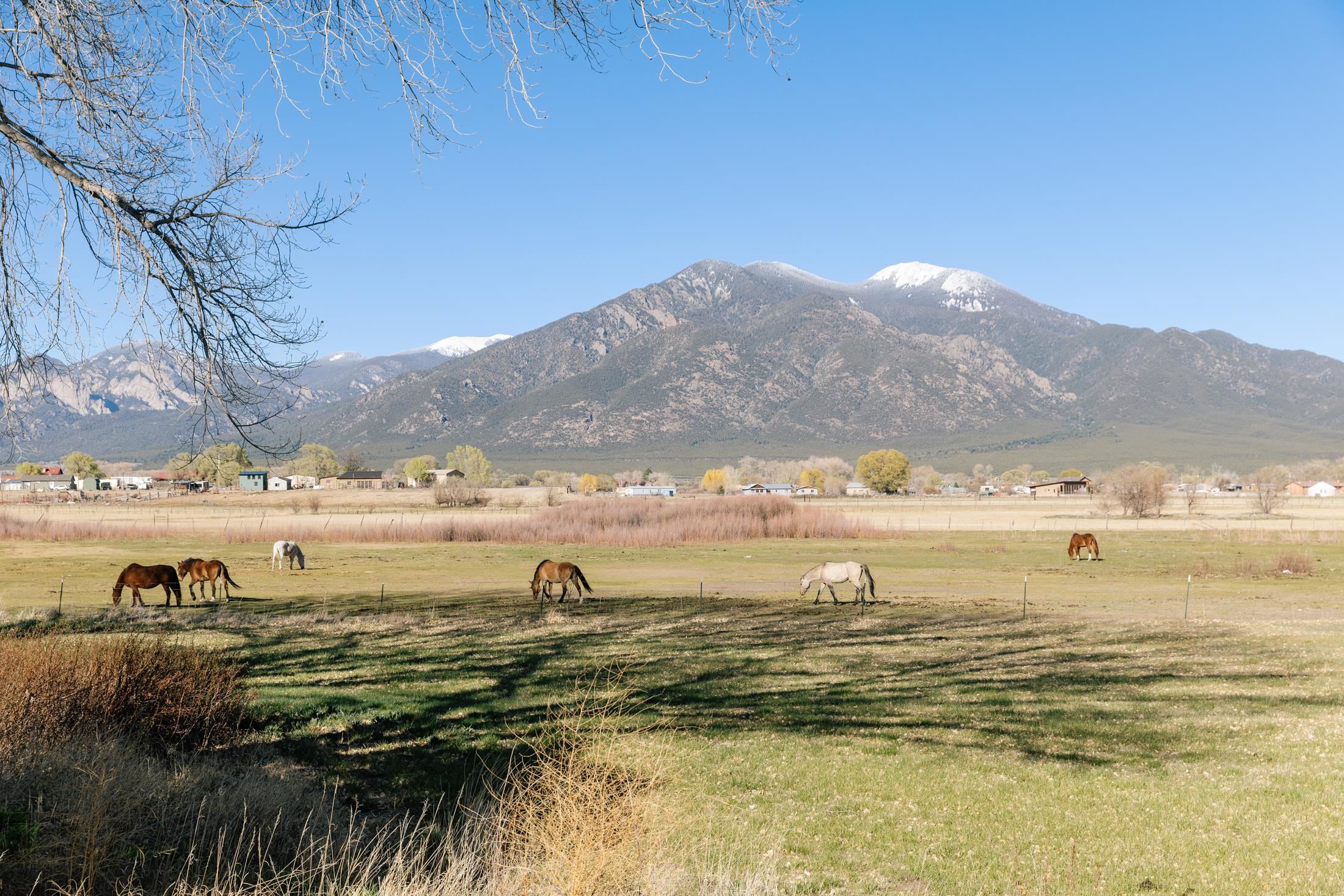 8 Painter Road El Prado, NM 87529 - Photo 34 of 50 Gallery Image 34